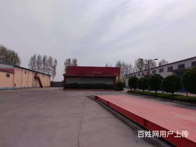 3000平邹平厂房仓库出租9米高可办环评三相电监控门卫非中介 - 图片 3