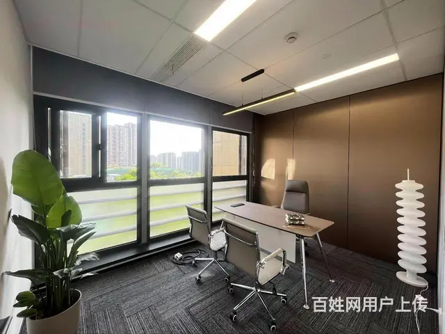 近江地铁口 中豪望江国际200方豪装拎包办公 价格好谈 - 图片 9