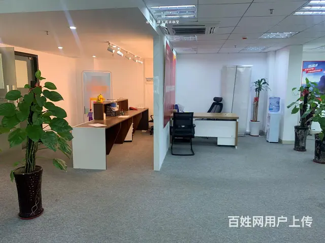 （三横王）龙华中心区196平直租，管理得当； - 图片 1