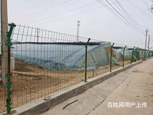 大棚 - 图片