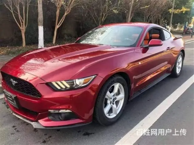 福特Mustang [野马] 2016款 2.3T 手自一体 - 图片 2