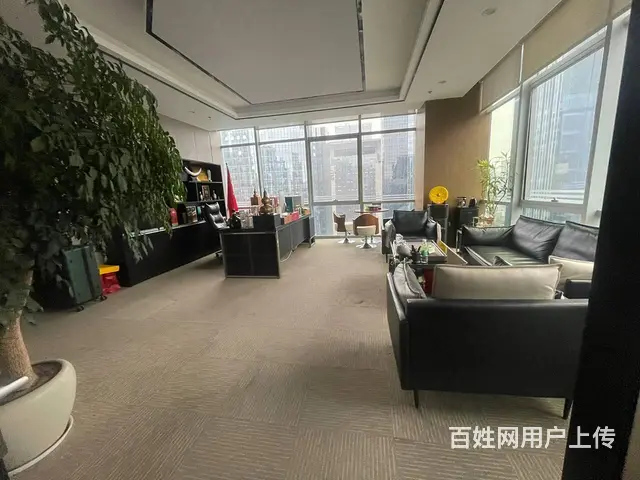 天府二街300平接待办公室 甲级纯写业主直租 - 图片 3