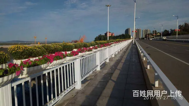 护栏马鞍式单双层护栏花盆桥梁种植箱护栏盆 - 图片 5