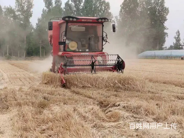 转让21年雷沃GM收割机的图片