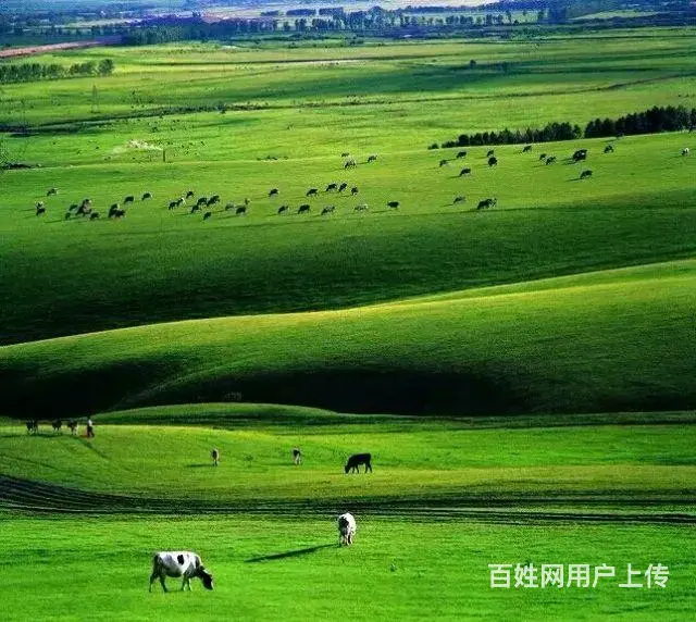 克旗经棚镇出租车摄影旅游 - 图片 9