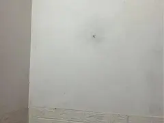 求租晒湖小区附近住房