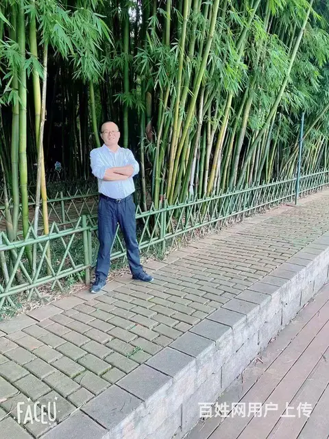 执子之手，与子偕老 - 图片 3