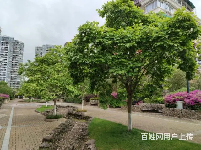 杭州千岛湖明珠花园自己的房子没有中介费！ - 图片
