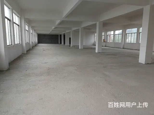 斗门珠峰大道旁全新厂房 - 图片 9