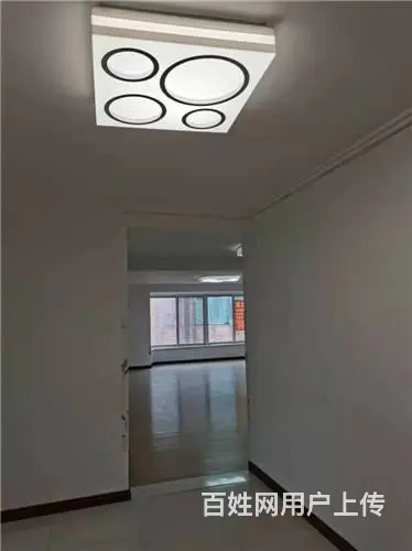 电梯江景洋房（城市里的别墅）出售 - 图片 12