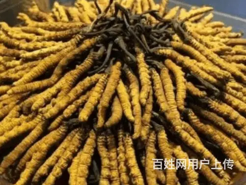 利川专业礼品回收诚信烟酒回收报价 - 图片 1