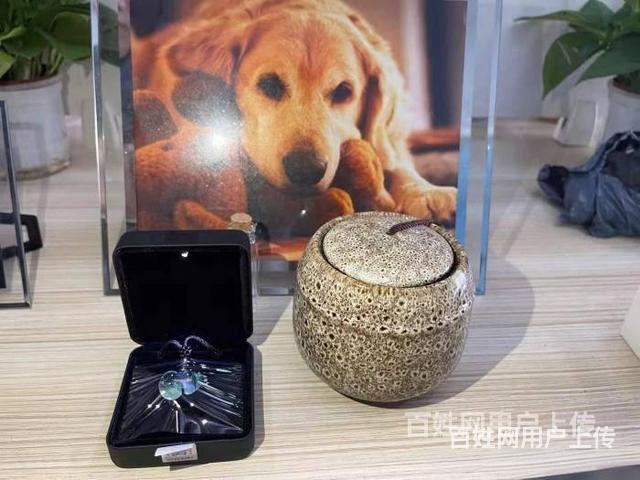 日照十年宠物殡葬服务老店,日照哪里有宠物殡葬公司,的图片