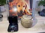 漯河宠物火化服务站,漯河本地宠物殡仪馆电话,