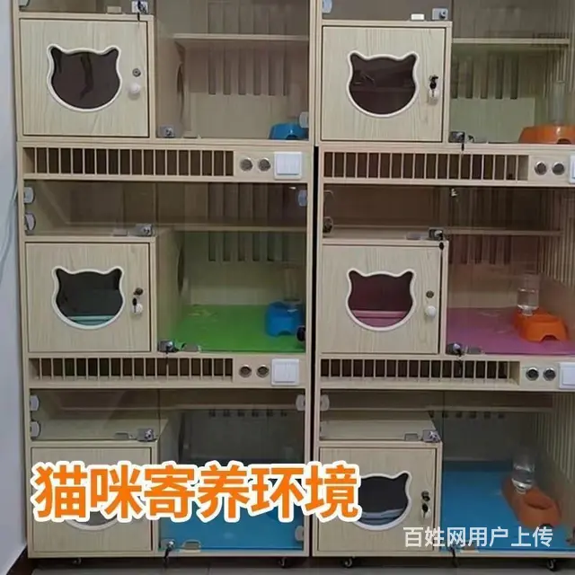 包头宠物托运（猫咪狗狗）（承接活体运输邮寄）代办检疫证 上门 - 图片 2