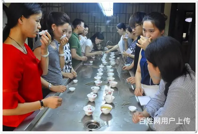茶艺培训学校哪家好?天晟茶艺培训学校答 - 图片 6