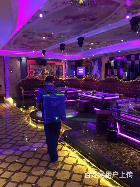 清远清城知名的灭臭虫排名 - 图片 3