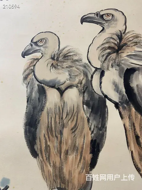 徐悲鸿 鹰 尺寸137✖️68cm - 图片 5