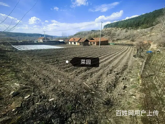 猪舍/养猪场/养殖场/出售 - 图片 9