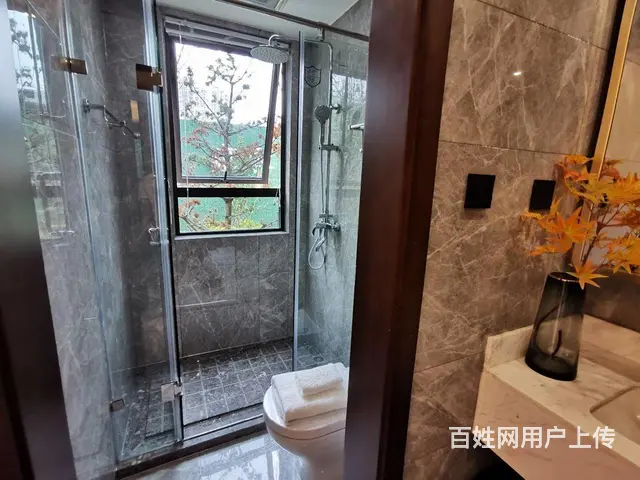 凯迪铂悦府市政府旁高端品质双吾悦广场轻轨站点首付低户型漂亮 - 图片 3