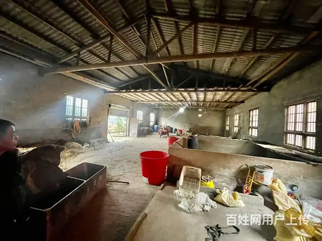 （老板本人）岳麓区大王山互通旁厂房/仓库优价出租  6039 - 图片 2
