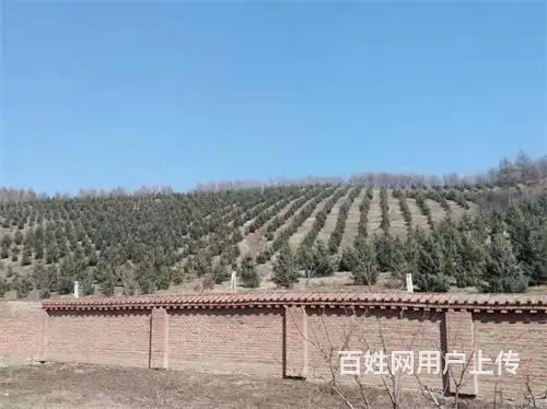 永吉县北大湖镇土地林地出售 - 图片 7