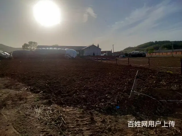 急售，诚心出售，价钱面议，无意者勿扰 - 图片 3