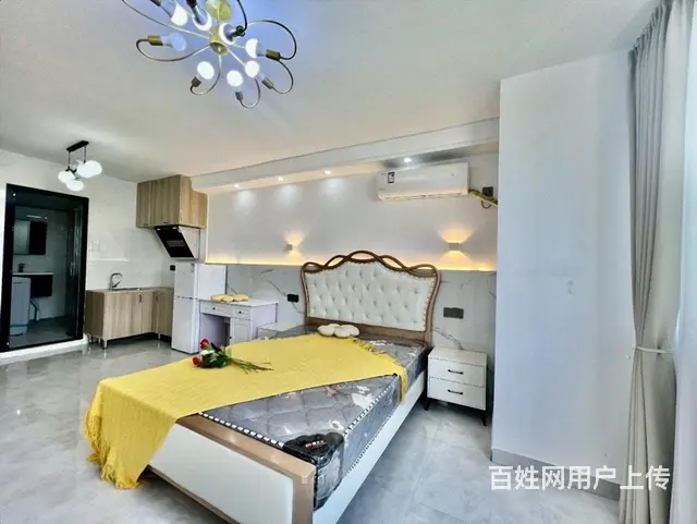 多套可选 看到满意为止 押一付一 包物业 可短租 长租有优惠 - 图片 4