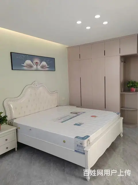 莱茵河畔 3室2厅1卫 精装修 - 图片 8