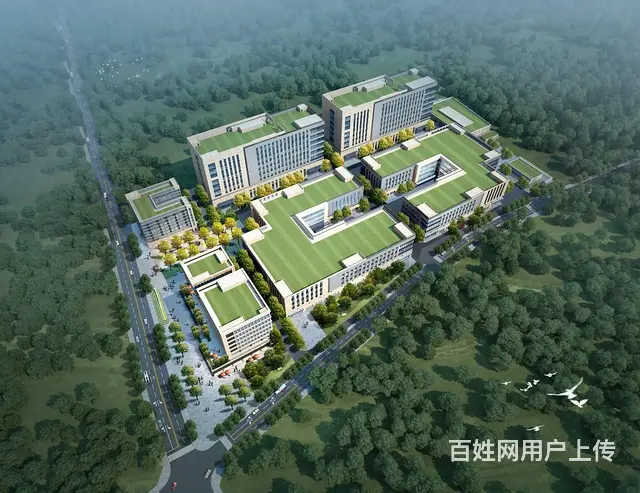 出租温江金马医学城医药器械电子信息研发中试生产大平层厂房 - 图片 1