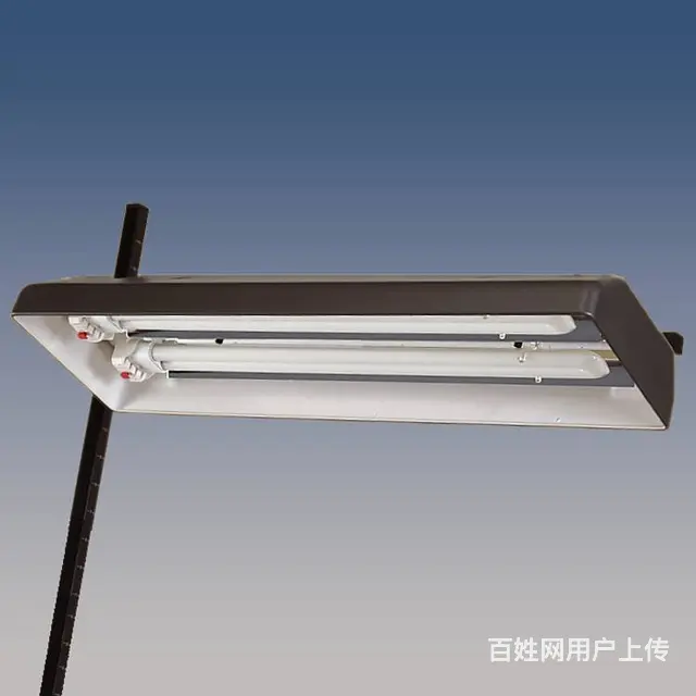 德国凯撒5656 高级翻拍灯 - 图片 2
