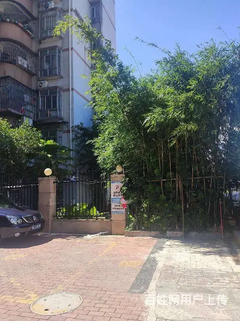 诚丰嘉座,~~干净清爽1室 ,看房方便，价格便宜 - 图片 11