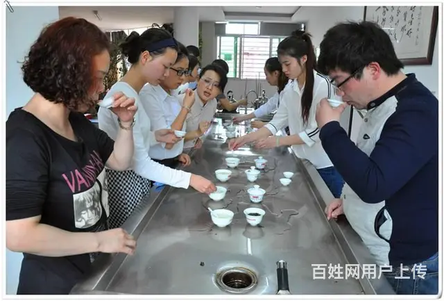 中国茶艺师培训班招生简章2025年 新版报名中 - 图片 3
