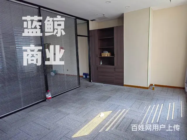 绿地商务城蓝海office纯写字楼，楼层好，边户采光，多隔间 - 图片 5