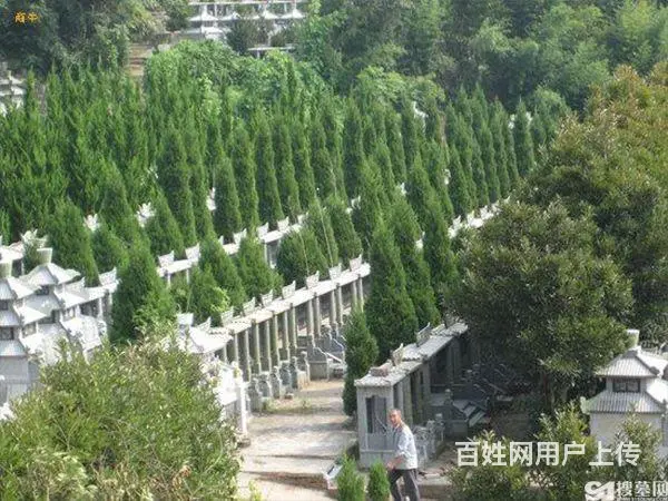 乌鲁木齐公墓大全,提供咨询、购墓、一条龙服务 - 图片 2