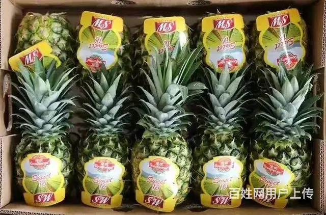 水果供应商配送上门酒店食堂单位批发市场 - 图片 7