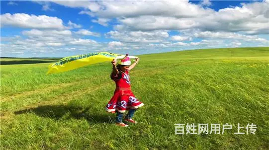 呼伦贝尔满洲里漠河四日游呼伦贝尔包车自驾游 - 图片 1