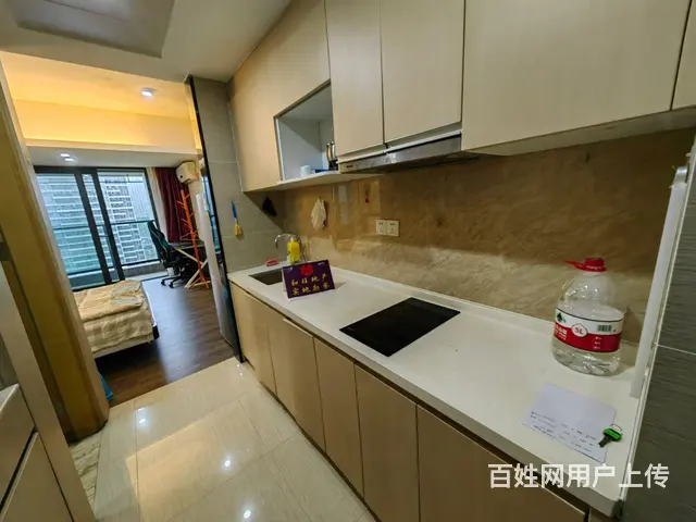 适合单身贵族住的房子，独立的私人空间 - 图片 4