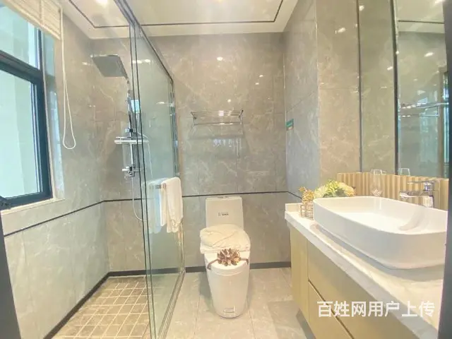 城南神盘 花园洋房 旁边 花半里 送车位家电 明年交付 - 图片 9