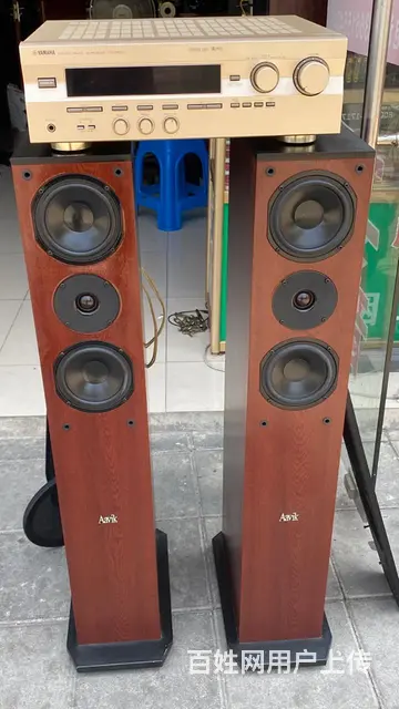 转让一对丹麦雅锐发烧音箱，低音在侧面，配套马来西亚 - 图片 6