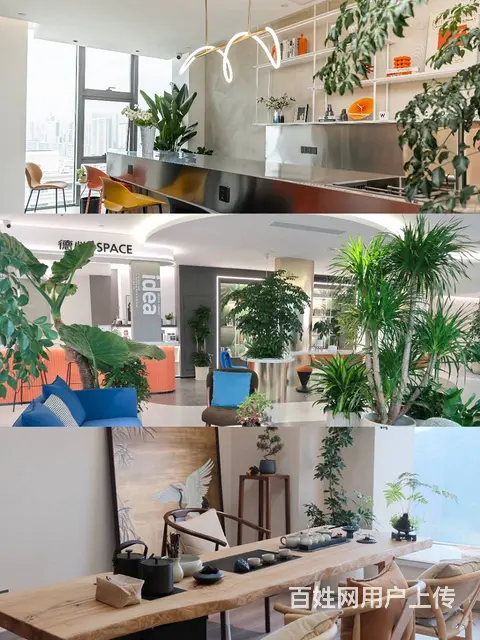 萧山北干 南站地铁口 精装带家具 全景落地窗 超高性价比 - 图片 7