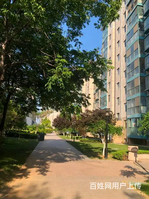 黄海城市花园  南北通透 鹿鸣 双 - 图片 9