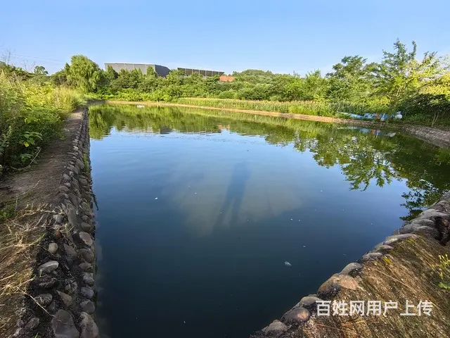 旺铺居）房东直租4.5亩鱼塘带三间房停车方便 - 图片 2