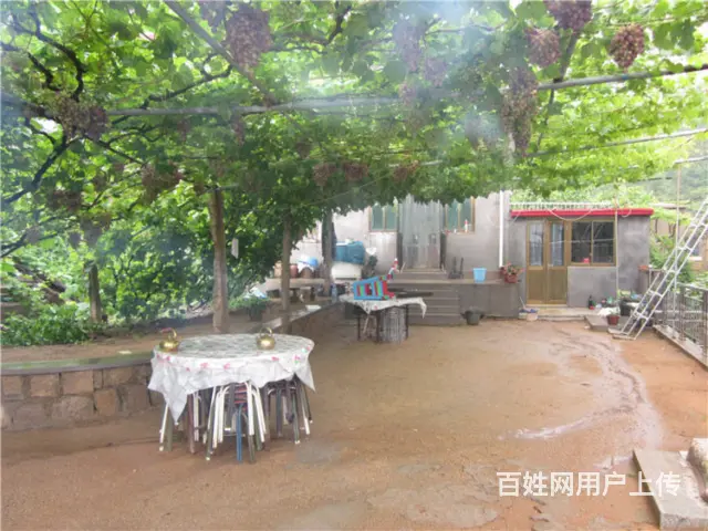 秦皇岛正式的北戴河渔岛附近住宿商家微信号怎么找 - 图片 1