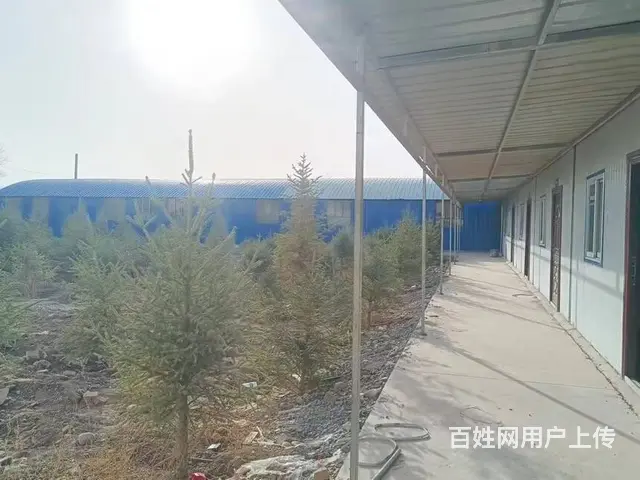（帮选铺）一酒泉市西峰镇塔尔寺六组43号院内库房对外出租 - 图片 4