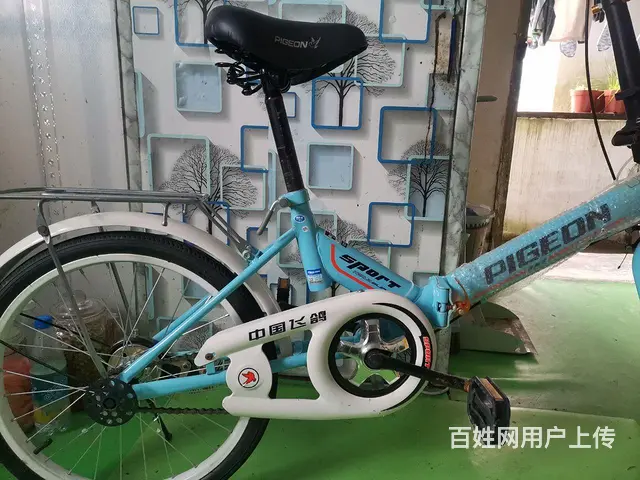 电饭煲，电水壶，电炒锅，吹风机，拉直发器10元起等 - 图片 12