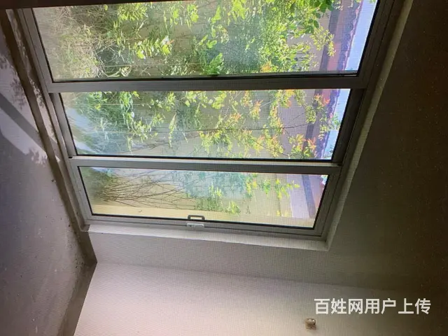 小院可做民宿可办公 - 图片 1