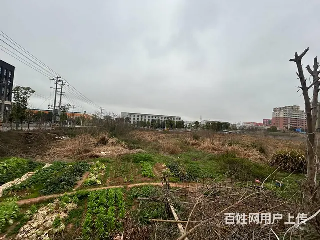 （老板本人）独门独院钢筋混凝土带行车办公宿舍一体厂房直租 - 图片 10