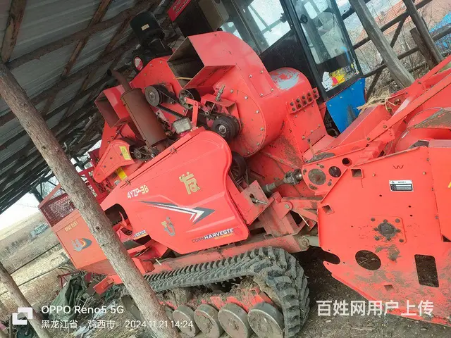 新换的鞋，小车 - 图片 3