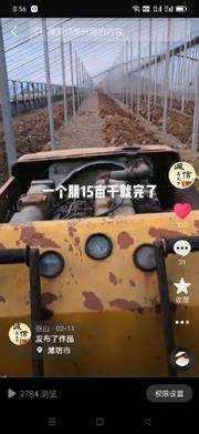 小连鬼