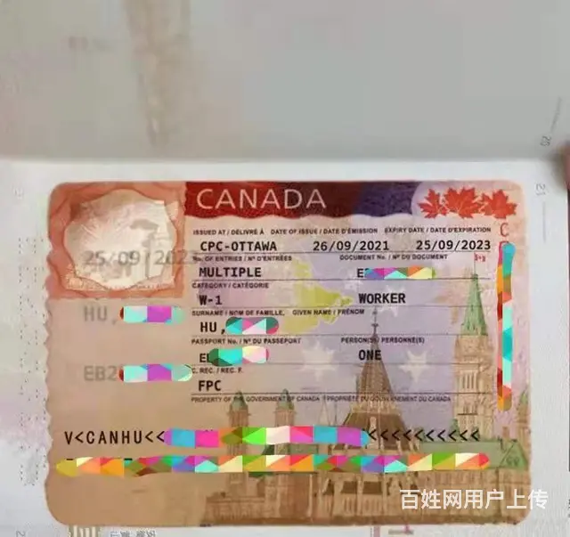 泰安出国务工诚招代理海聘劳务正规出国 - 图片 3